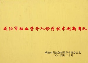 咸陽(yáng)市腦血管介入診療技術(shù)創(chuàng)新團(tuán)隊(duì)