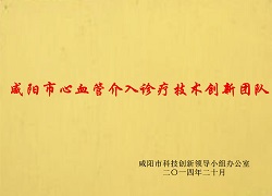 咸陽市心血管介入診療技術(shù)創(chuàng)新團(tuán)隊(duì)