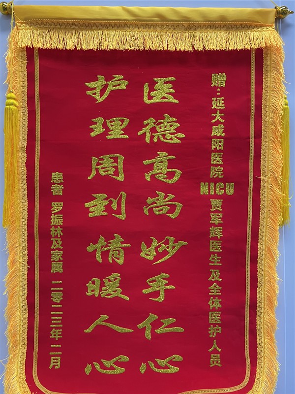 神經(jīng)重癥監(jiān)護(hù)NICU錦旗